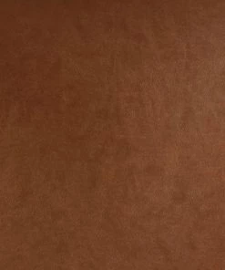 2pk Bowden Dining Chair with Arms Caramel Faux Leather - Project 62™ -Project 62 Shop GUEST 02f52629 0188 4088 8b4c 5ef15f70b457