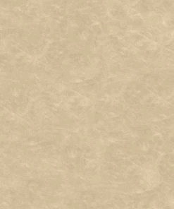 2pk Bowden Faux Leather and Metal Dining Chairs Natural - Project 62™ -Project 62 Shop GUEST 0d6e1b42 49a9 4398 915f e3357eb3f975