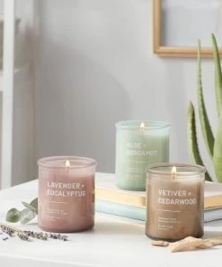 Threshold 15oz 3pk Candle Gift Set - Project 62™